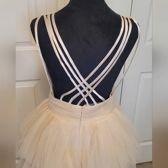 Elegant Cream Layered Tulle Evening Gown - Picture 11 of 16